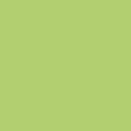 Secchio 10 L Lime